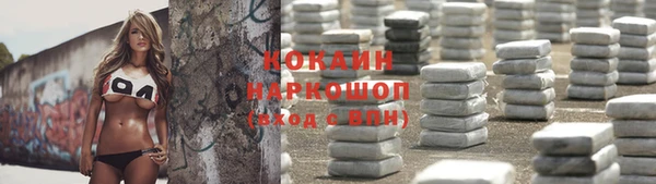 сатива Дмитров