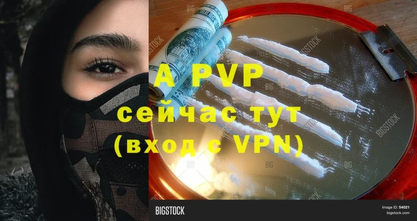 винт Гусиноозёрск