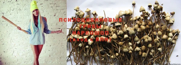 винт Гусиноозёрск