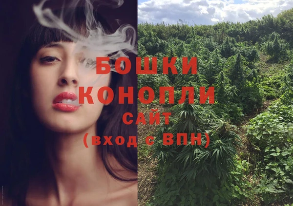 бутират Гусь-Хрустальный