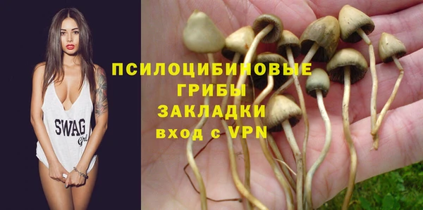 мескалин Дмитриев