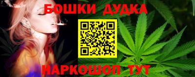 Альфа ПВП Кандалакша