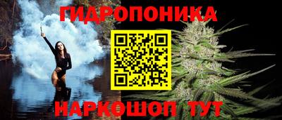 Альфа ПВП Кандалакша