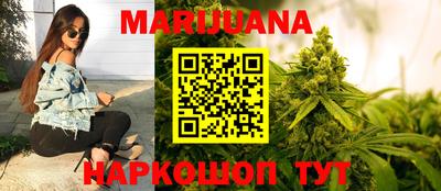 Альфа ПВП Кандалакша