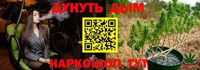 Альфа ПВП Кандалакша