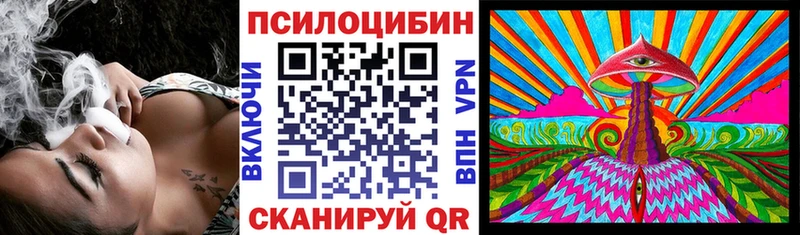 Псилоцибиновые грибы мицелий  как найти закладки  Ногинск 